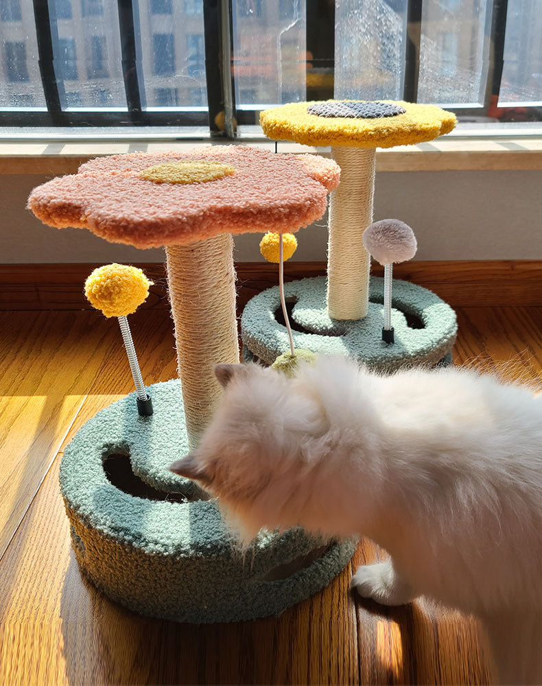 Cat playing with flower-shaped scratching post