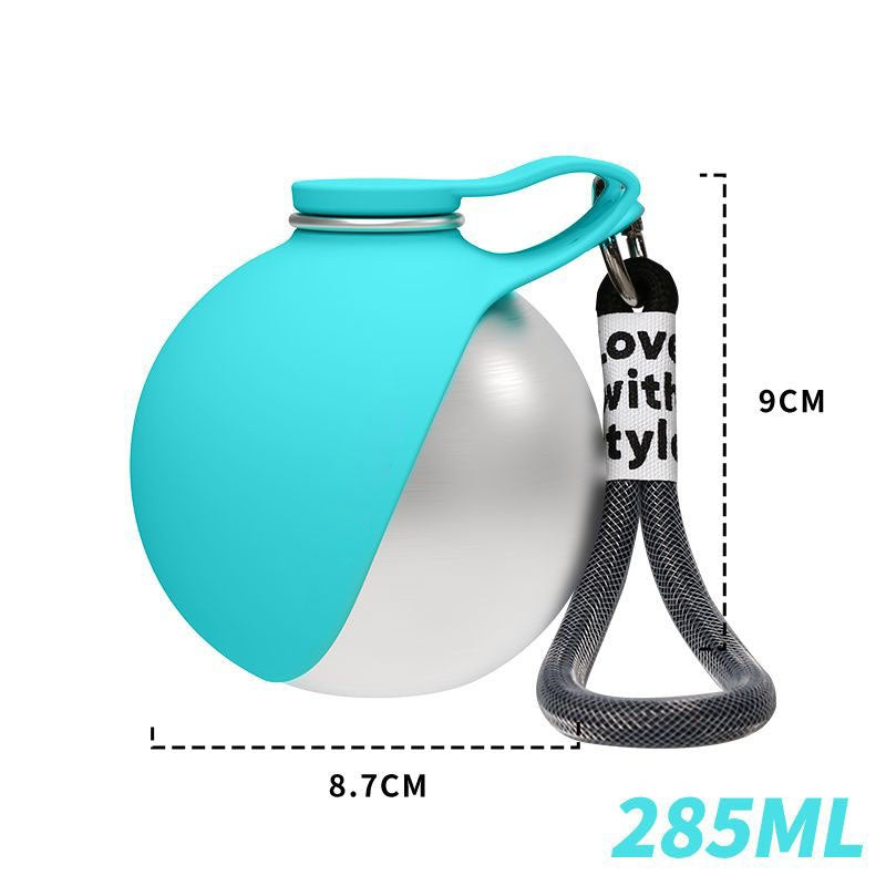 Blue dog water bottle clipped to leash