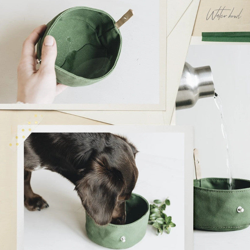 Collapsible green pet bowl for feeding on the go
