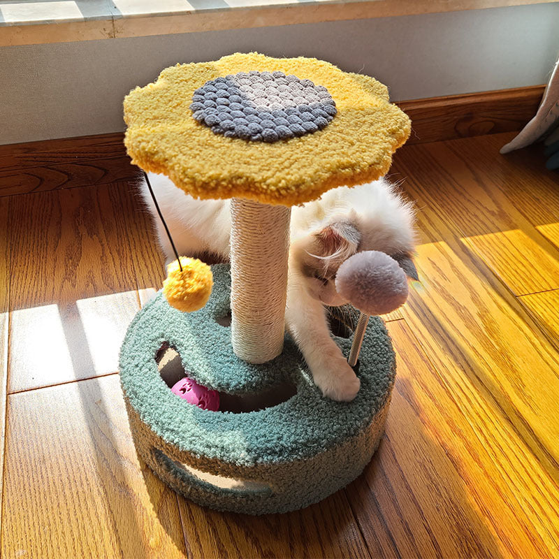 Fluffy cat sitting on flower cat scratching post

