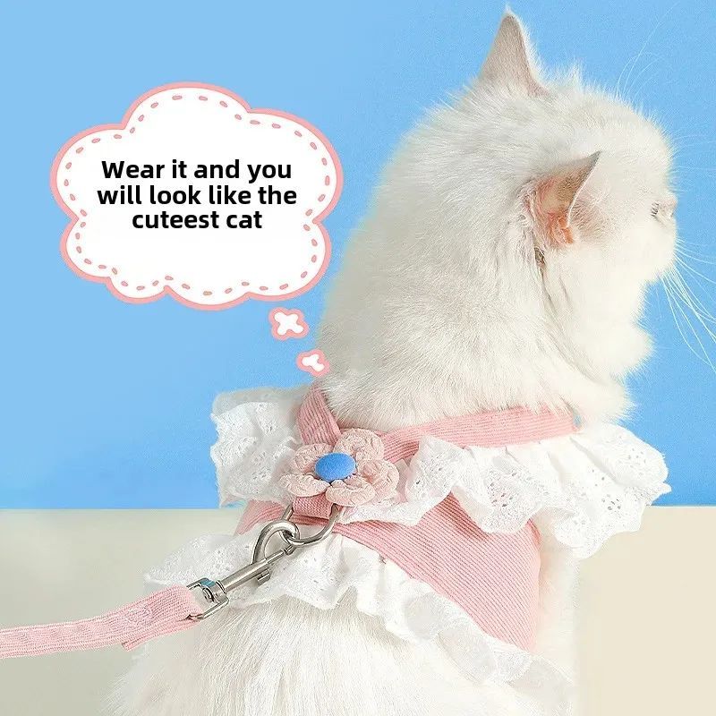 White cat in ruffled harness and leash outdoors
